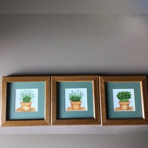 Herb pictures set of 3